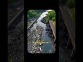 India ka sabse bada Contradiction | Cow, River Aur school ka Reality