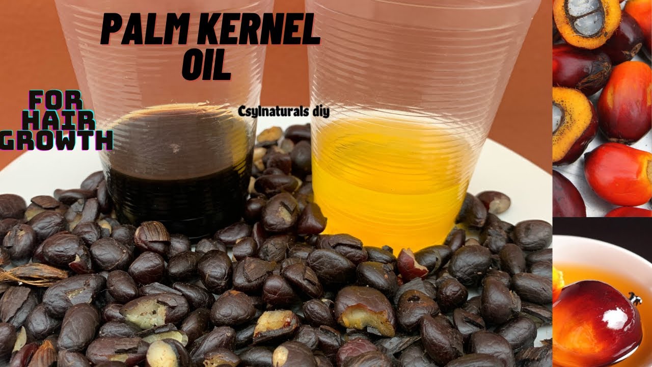 Homemade palm kernel oil/ how to make clear organic palm kernel oil/ how to  diy palm kernel oil 