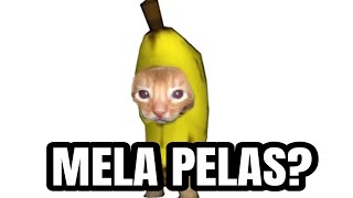 Shitposting Compilation V47