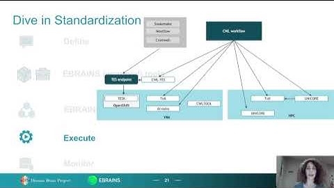 Standardised Workflows at EBRAINS