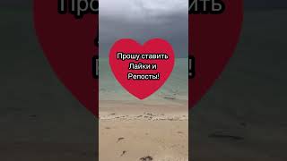 Мальдивы в Саудии 2,5 часа от Медины! #дубай #напоминание #аллоху #субханаллах #саудовскаяаравия