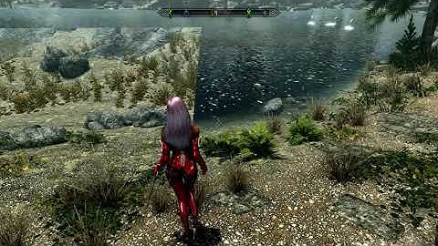 The Elder Scrolls V  Skyrim Special Edition 4K Water Bug