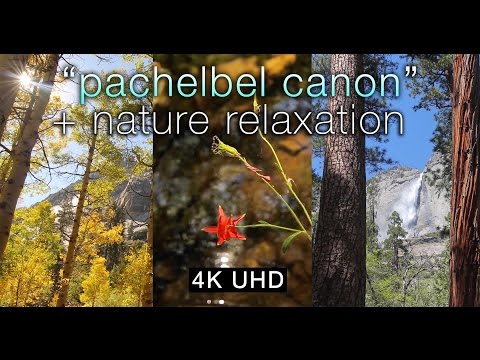 4K UHD Nature  + Pachelbel Canon: A Music Relaxation Video