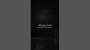 من اجمل التلاوات القارئ 🎙️ عبد الرحمن مسعد سورة يونس 🥹🤍