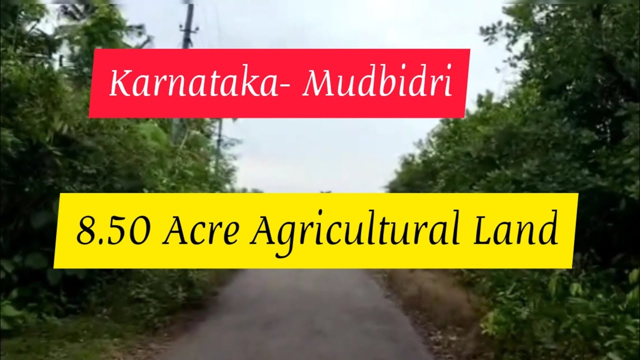 8 50 Acre Agricultural Farm Land For Sale Mudabidri Karnataka 1 30 8-50-acre-agricultural-farm-land-for-sale-mudabidri-karnataka-1-30