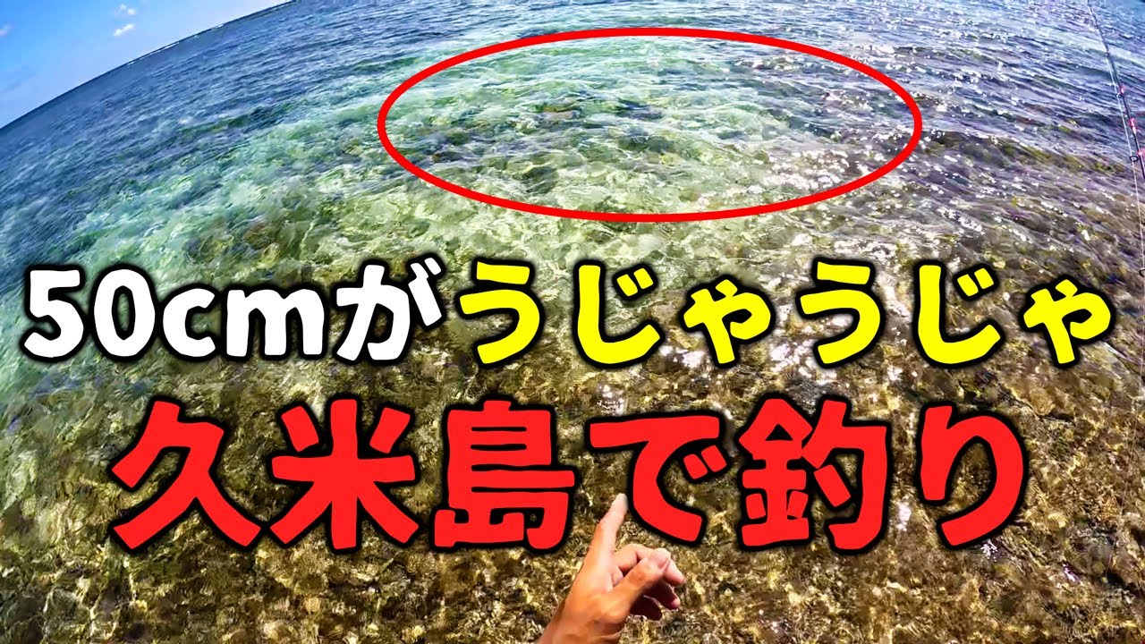 50cmクラスがうじゃうじゃ！からの悲報…【魚釣って朝食海鮮丼チャレンジin久米島編】