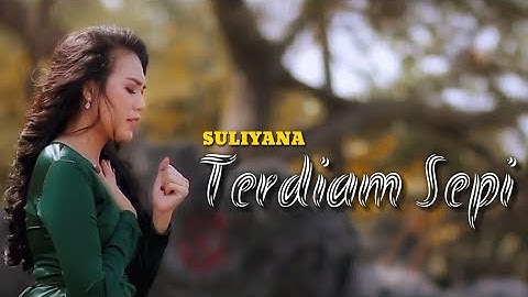 Suliyana - Terdiam Sepi (Lirik)