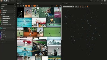 The Power of Florence-2 with OpenVINO & FiftyOne: Real-World Applications in Image Analysis