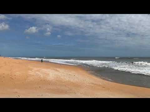 19 Woodward Ln, Palm Coast, FL home video tour