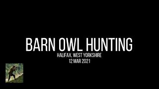 Barn Owl Hunting - 12/03/2021 (Calderdale)