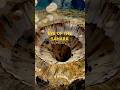 The Giant Bullseye in the Sahara Nobody Can Explai