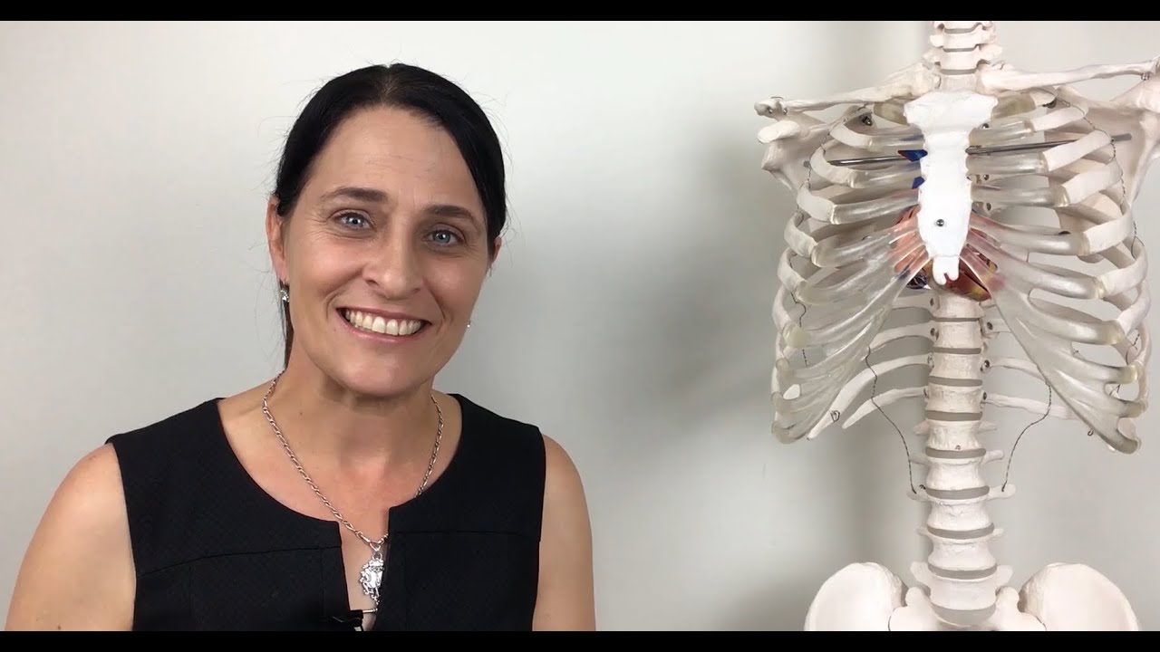Echocardiography for beginners with Ruth Ramm - What does the online ...
