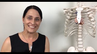 Echocardiography for beginners with Ruth Ramm - What does the online course include