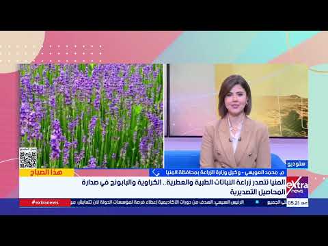 Minya Agriculture Undersecretary: The State Is Moving Toward Turning Agricultural Produce into Va...