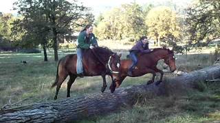 Sisters pair jumping.AVI