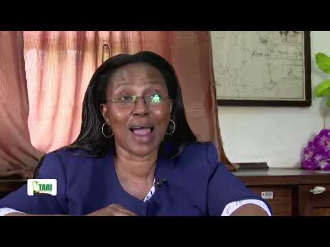 Video: Wazalishaji Wa Wakulima: Sifa Za Mifano Iliyofanywa Nchini Ujerumani. Makala Ya Chapa Za Kirusi, Kibelarusi Na Kifaransa