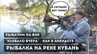Рыбалка на реке Кубань / Снова на яме / Последний день октября