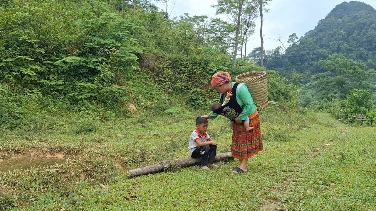 Single mother - chopping wood to exchange rice, Help the lost boy find ...