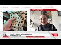 Senadora Andrea Padilla entrega detalles del operativo para localizar al jaguar que escapó