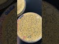 Bacterial growth - TSA plates of serial dilution from a 1 gram sample of make-up sponge 🧽 💄 🧫