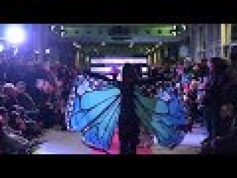 “Voli in libertà” - L'Arcobaleno della Speranza ONLUS