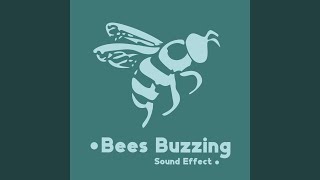 Buzzing Bees Noises Pt. 3
