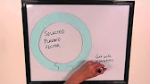 Fundamentals Of Biology Textbook