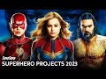 Every Superhero Movie &amp; Series Coming in 2023 | SuperSuper