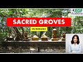 Sacred Groves l Sacred Groves In India l Sacred Groves UPSC l Sacred Groves in english