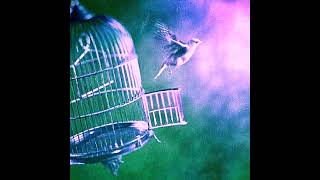 Free Trap Reggae Dub Type Beat Escape Prod. Ludwigvandub