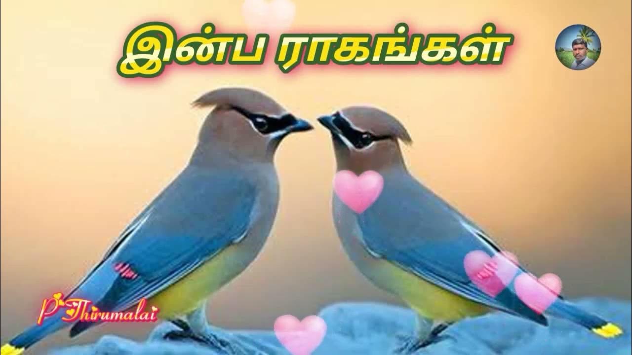 melody-songs-in-tamil-youtube