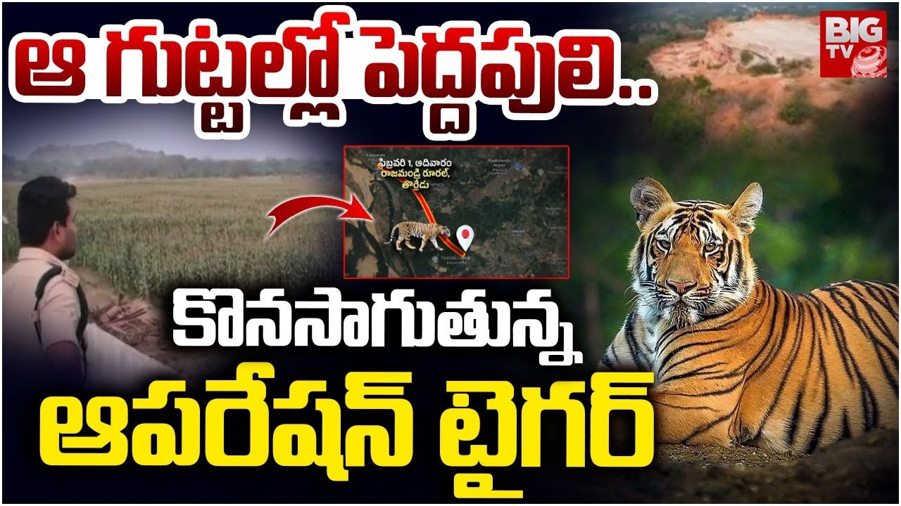 ఆ గుట్టల్లో పెద్దపులి.. | Rajahmundry Tiger Latest Updates | Operation Tiger | BIGTV