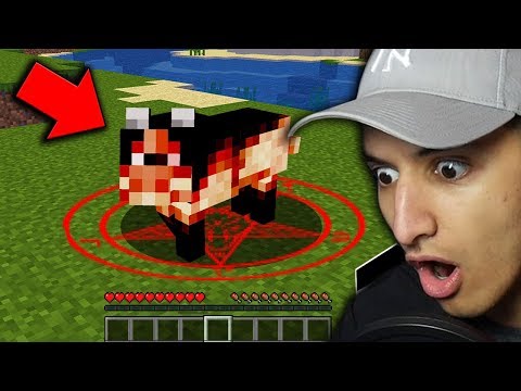 do-not-feed-this-minecraft-dog-at-night...-(scary-minecraft-video)