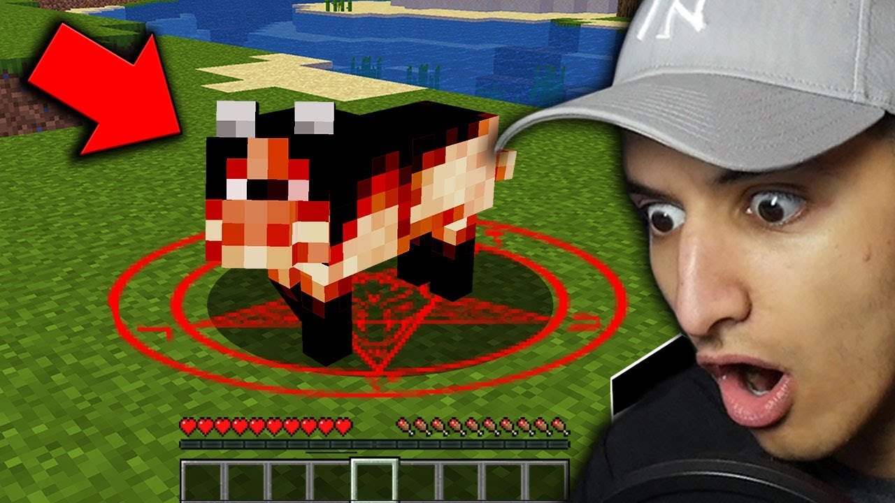 DO NOT FEED THIS MINECRAFT DOG AT NIGHT... (Scary Minecraft Video)