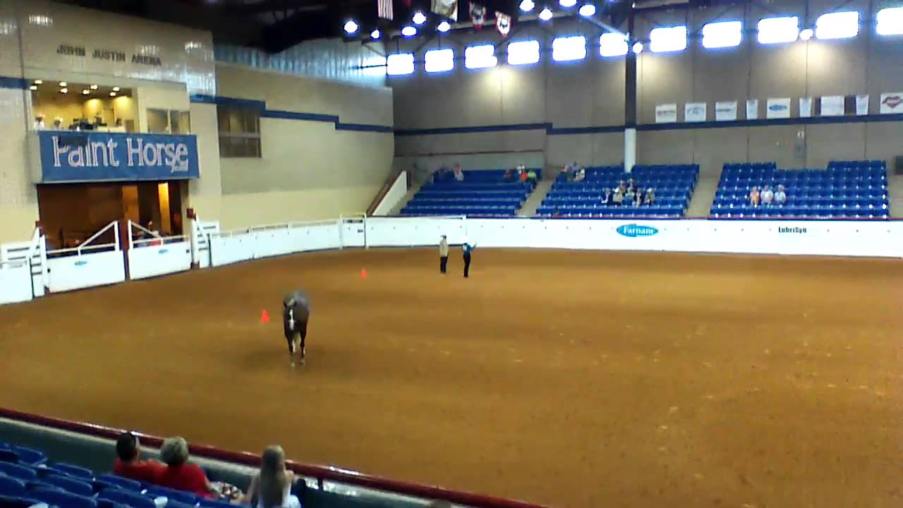 Youth Paint Worlds 2013 Shankless Showmanship YouTube