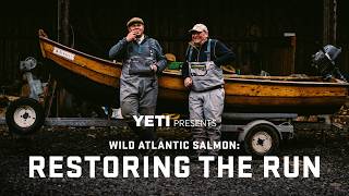 Download Lagu YETI Presents | Wild Atlantic Salmon: Restoring The Run MP3 Download Lagu YETI Presents | Wild Atlantic Salmon: Restoring The Run MP3