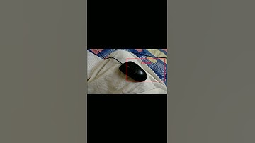 Object Detection for Visually Impaired