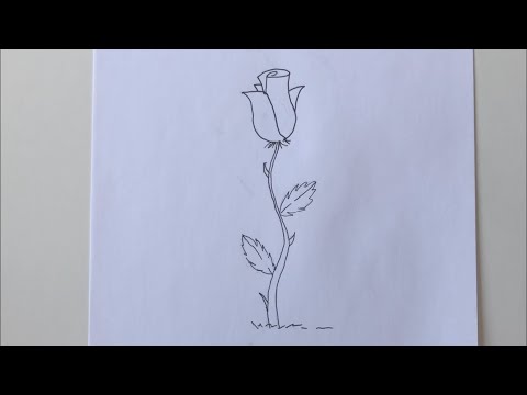 Video: Kako Nacrtati Lijepu Ružu