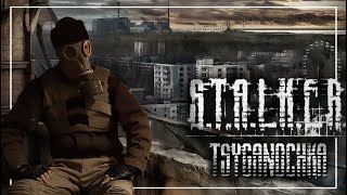 S.T.A.L.K.E.R. OST  Tsyganochka (Цыганочка) |Guitar Cover| + TABS