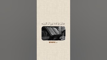 قران كريم وتلاوه #قرآن #قران_كريم #duet #المصحف #اكسبلور #فلسطين #القزابري #راحة_نفسية #دويتو