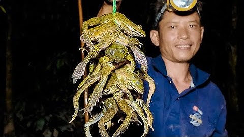 Cuộc sống săn bắt trên sông khi con nước rút 2024 - Tập 5 | Gấc Quê