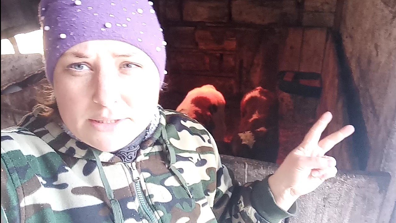 Без потеть не обошлось/Сколько телят осталось?Муж рукадельник/Купили ...