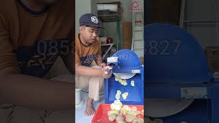 Mesin Keripik Kentang Dengan Harga Terjangkau 1