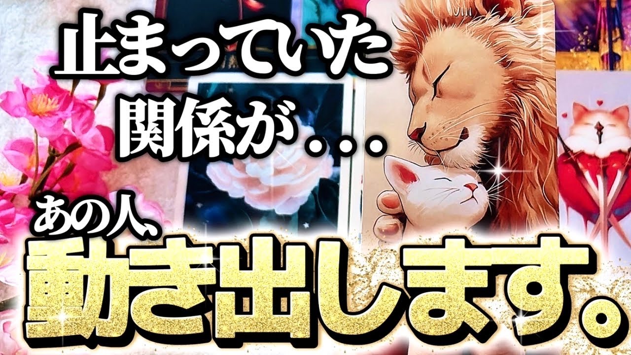 止まっていた関係が動き出します🌸