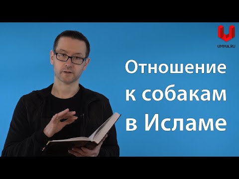 Слюна и шерсть собаки