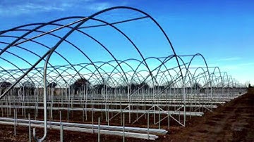Spanish Tunnels, strawberries gutter tabletops, coir substrate, strawberry polytunnels by Protech