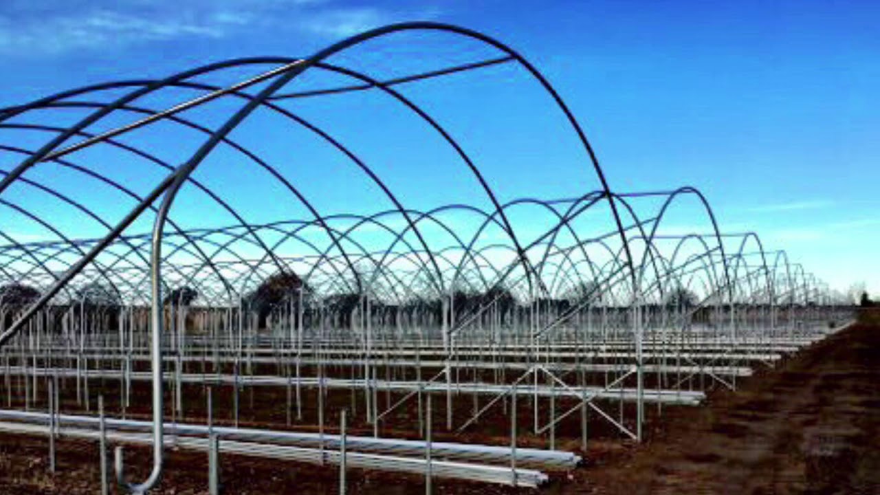 Spanish Tunnels, strawberries gutter tabletops, coir substrate