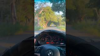 Disfrutando los Paisajes en el Proyecto - BMW 330ci E46