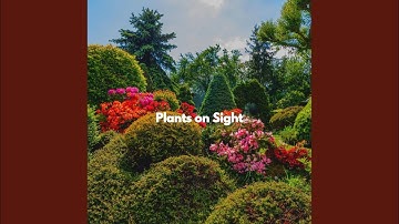 Pulsating Backdrops for Social Options