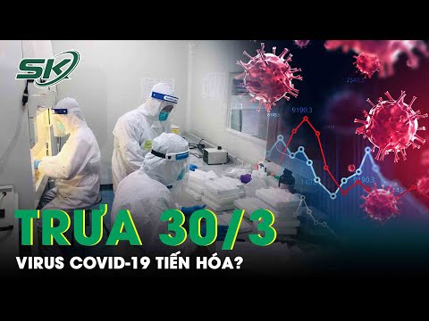 Dự Báo Nguy Hiểm Virus Covid-19 Ngày Càng Tiến Hóa, Hạ Gục Hệ Miễn Dịch Con Người